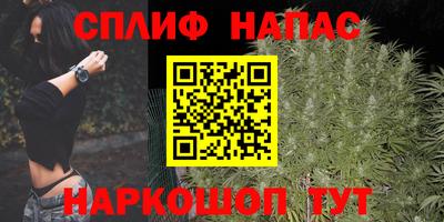 дмт Бузулук