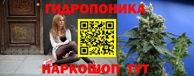 Альфа ПВП Будённовск