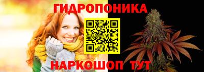 Альфа ПВП Будённовск
