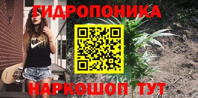 Альфа ПВП Будённовск