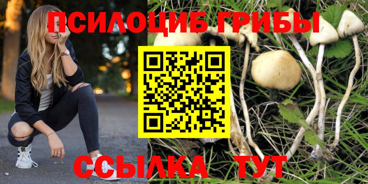 Галлюциногенные грибы MAGIC MUSHROOMS Усть-Лабинск